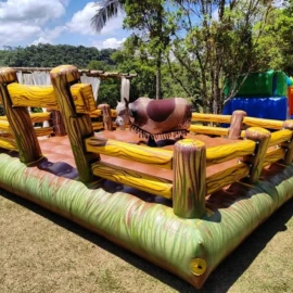 Aluguel de Rodeio Mecânico